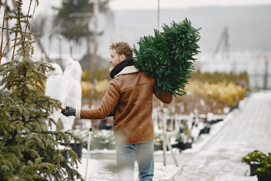 De l’épicéa à l’artificiel : le guide ultime pour choisir le sapin de Noël parfait