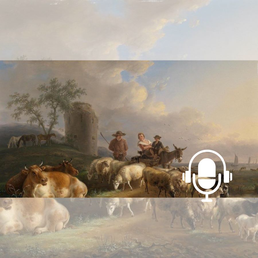 condition-monde-animal-relation-avec-monde-humain-1 PODCAST