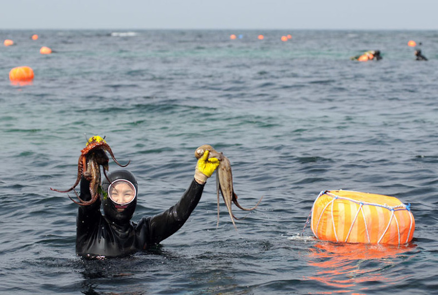 Haenyeo : les sirènes plongeuses de Corée du Sud