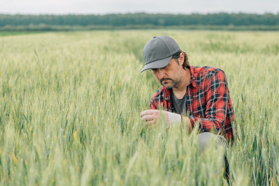 La juste colère des agriculteurs pour sauver leur métier