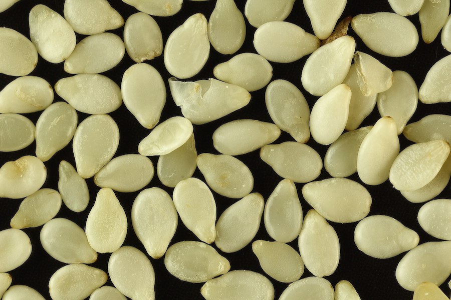 Le sésame, une petite graine qui a beaucoup à offrir : utilisations et recettes