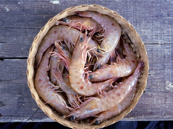 Recette facile : Crevettes cuites à l’eau 
