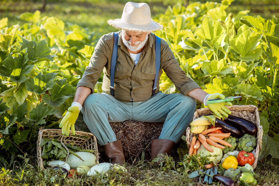 L’alimentation saisonnière répartie sur les douze mois de l’année, cultiver ses propres aliments : mars