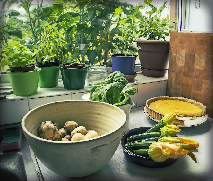 L’alimentation saisonnière répartie sur les douze mois de l’année, cultiver ses propres aliments : mars