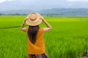 Secrets anciens : l’eau de riz pour des cheveux sains