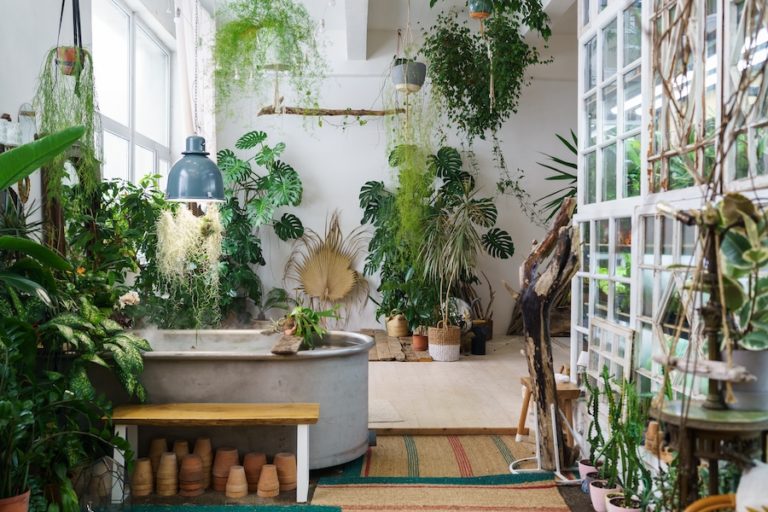 Aménager un jardin d’intérieur : onze façons créatives de transformer ...