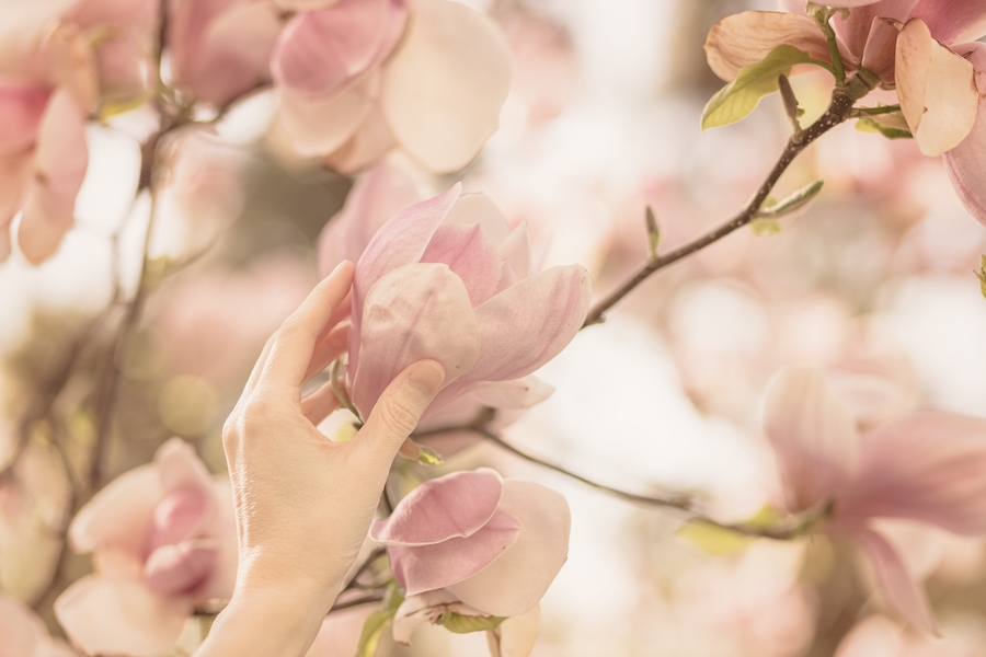 Quand une belle-mère devient mère : une histoire d’acceptation et d’amour inconditionnel