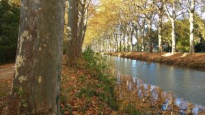 Canal du Midi : une grande aventure riche de prouesses et de coopération humaine