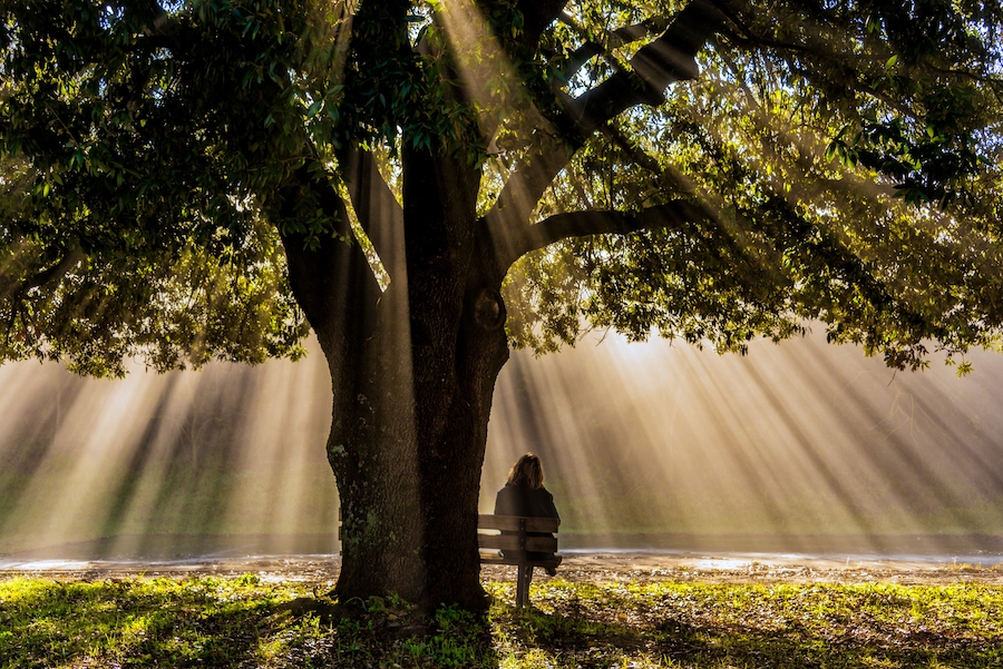 Comprendre la solitude : causes, effets et stratégies d’adaptation