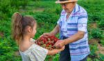 Les aliments à haute vibration : comment augmenter naturellement la fréquence vibratoire