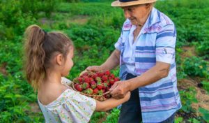 Les aliments à haute vibration : comment augmenter naturellement la fréquence vibratoire