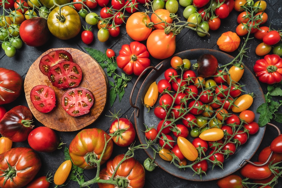 Réduisez vos coûts alimentaires grâce à dix végétaux productifs impressionnants pour le jardin potager