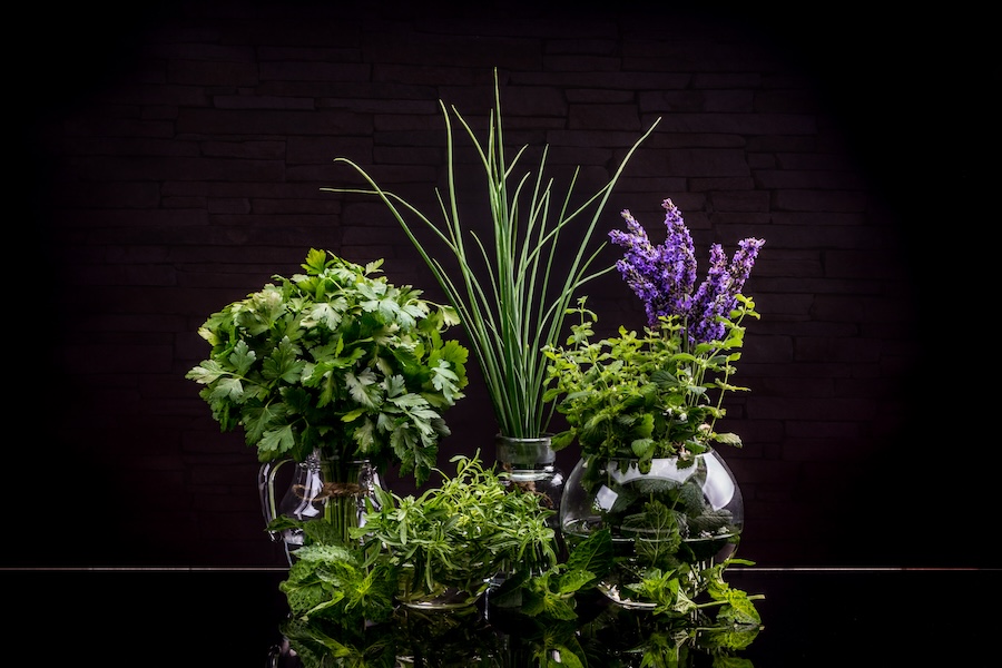 Réduisez vos coûts alimentaires grâce à dix végétaux productifs impressionnants pour le jardin potager