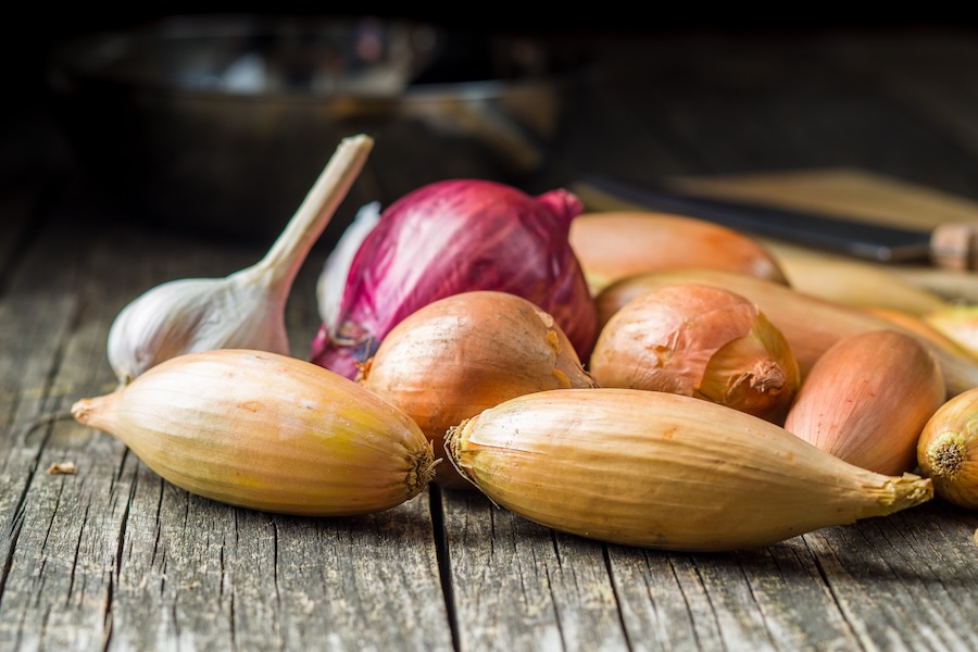 Réduisez vos coûts alimentaires grâce à dix végétaux productifs impressionnants pour le jardin potager