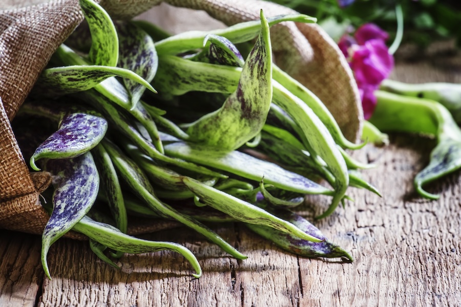 Réduisez vos coûts alimentaires grâce à dix végétaux productifs impressionnants pour le jardin potager