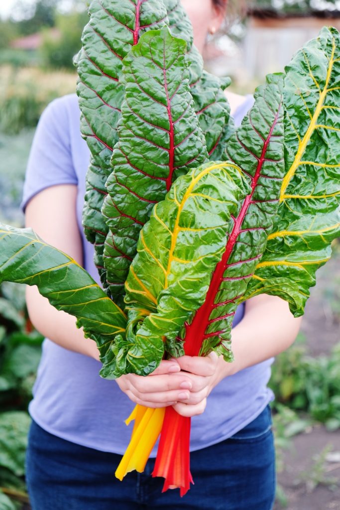 Réduisez vos coûts alimentaires grâce à dix végétaux productifs impressionnants pour le jardin potager
