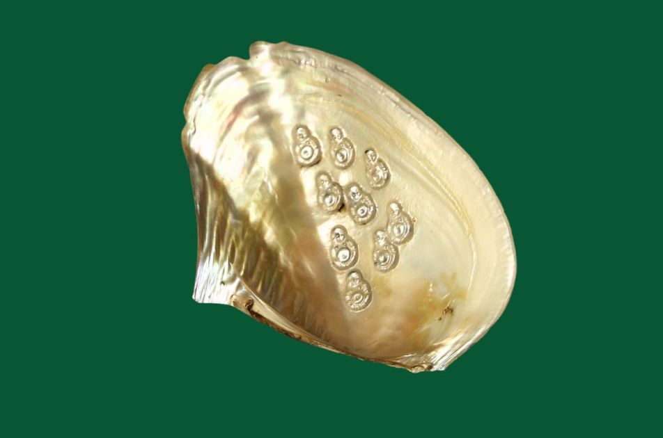 Perles, les types, origines, valeurs et secrets de fabrication