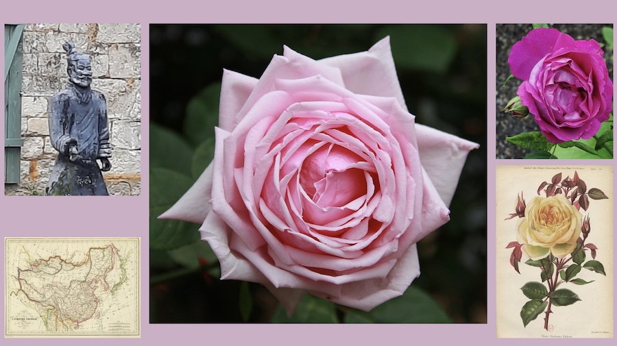 France : Gerberoy, village médiéval, 96ème Fête des Roses