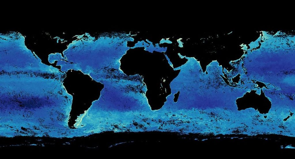 Voici pourquoi l'océan est le véritable poumon de la planète
