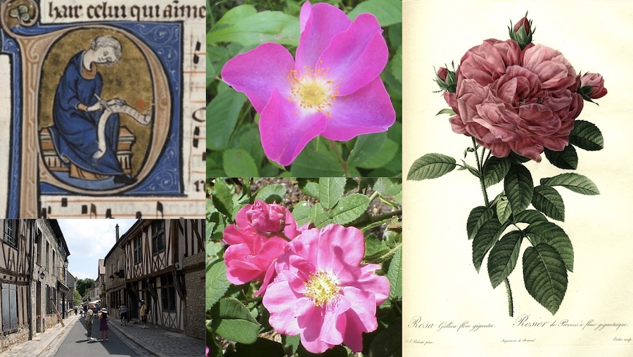 France : Gerberoy, village médiéval, 96ème Fête des Roses