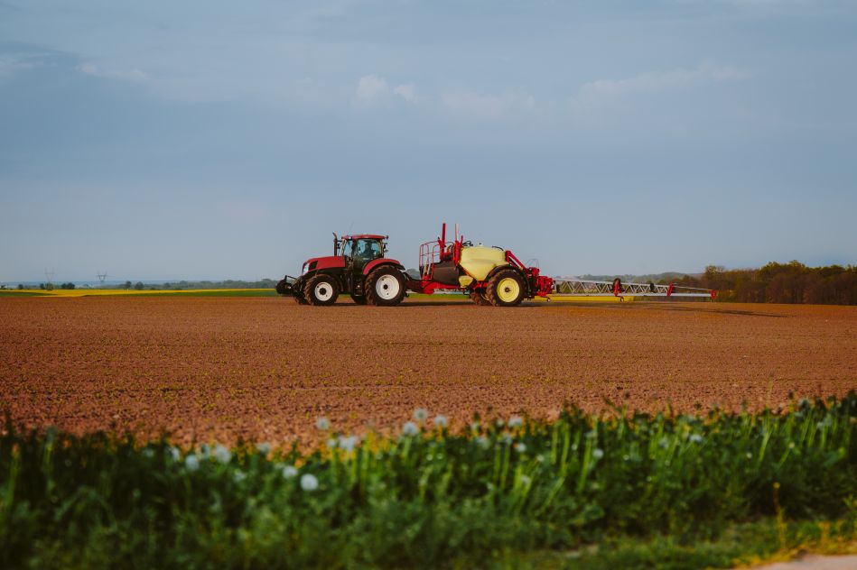Voici pourquoi l'océan est le véritable poumon de la planète