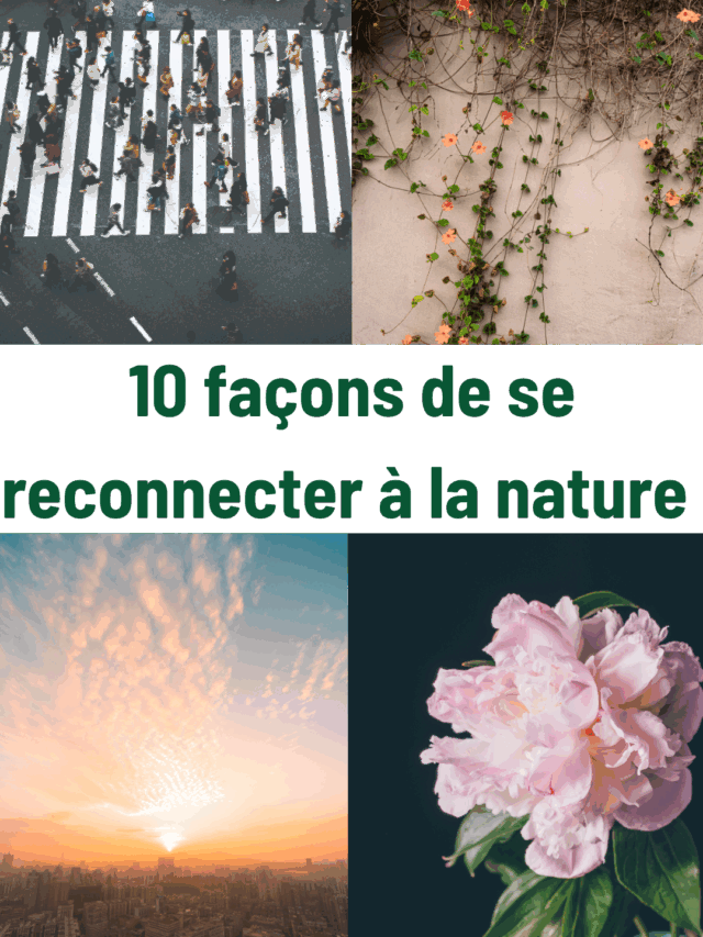 10 façons de se reconnecter à la nature