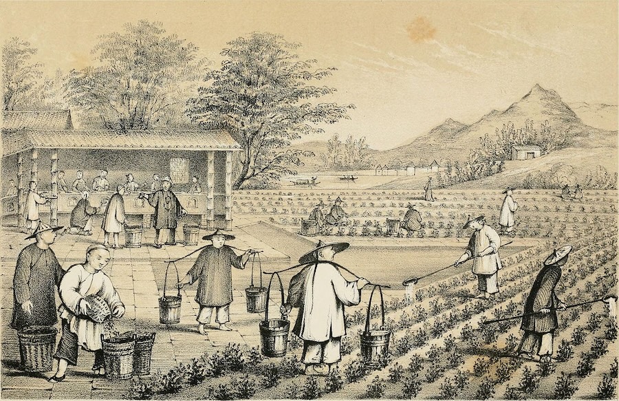 Ces Six piliers de la culture traditionnelle chinoise captivent le monde

