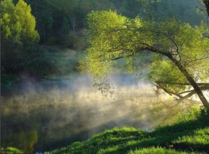 Dix façons de profiter de la nature même en étant très occupé