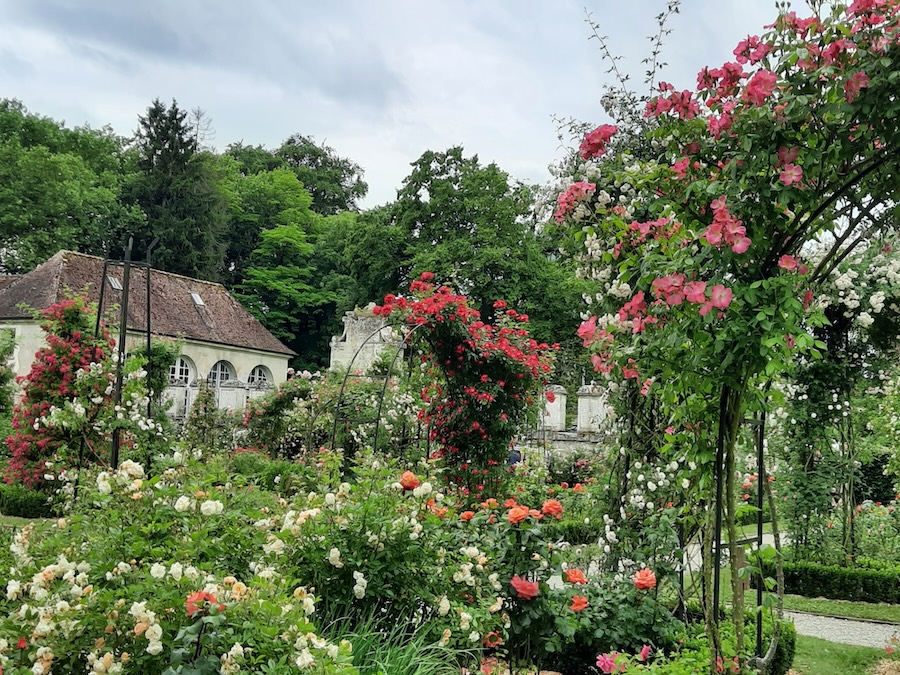 France : 24ème édition des Journées de la Rose à Chaalis