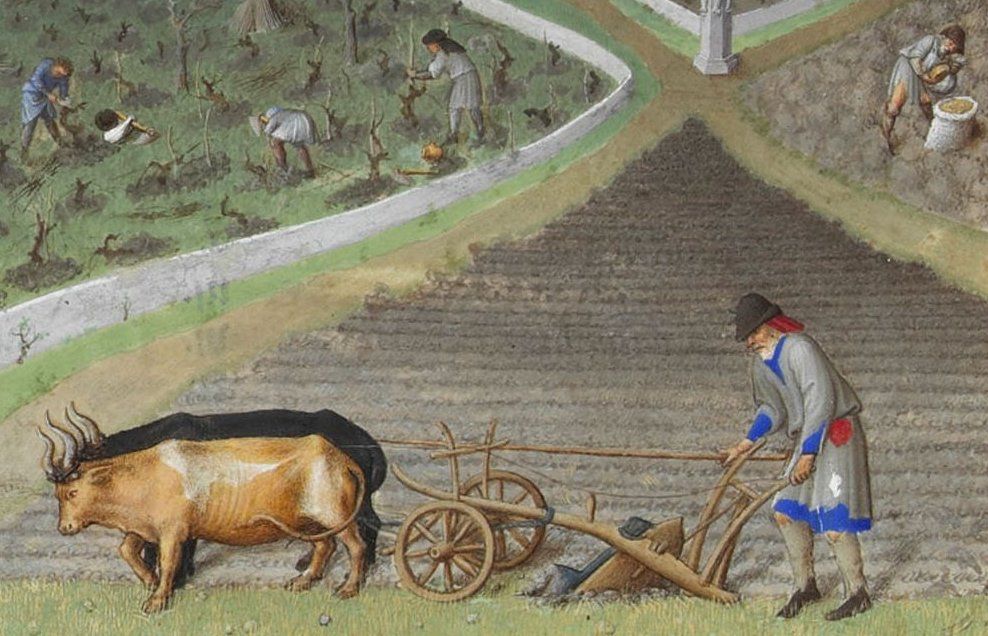 Redonner vie à la terre grâce à l’agriculture régénérative