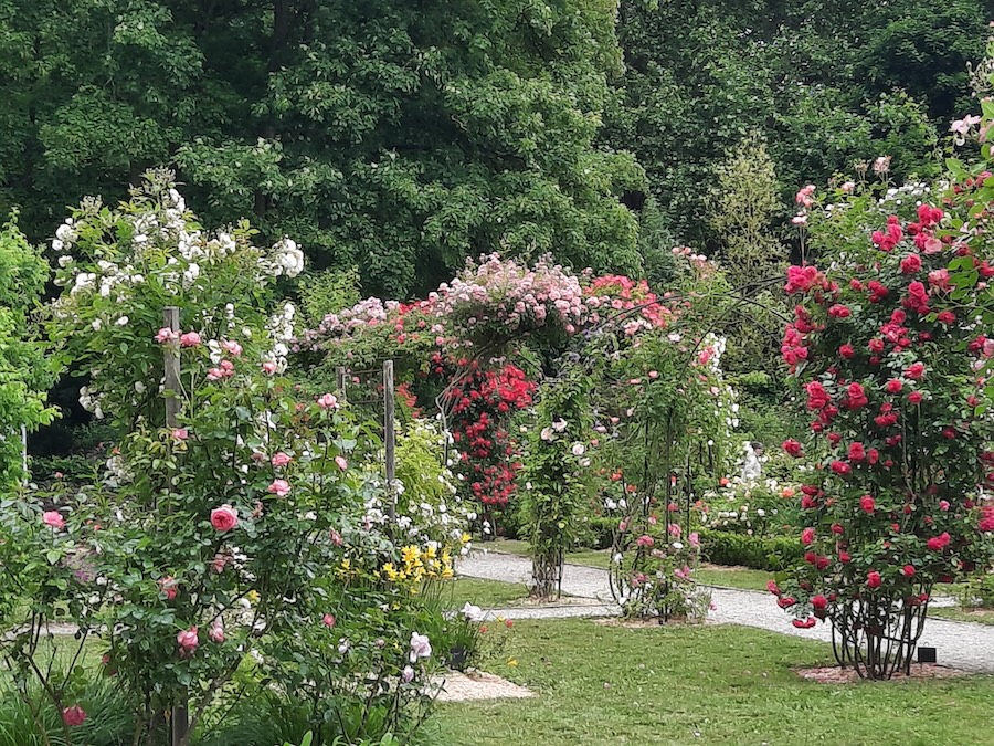 France : 24ème édition des Journées de la Rose à Chaalis