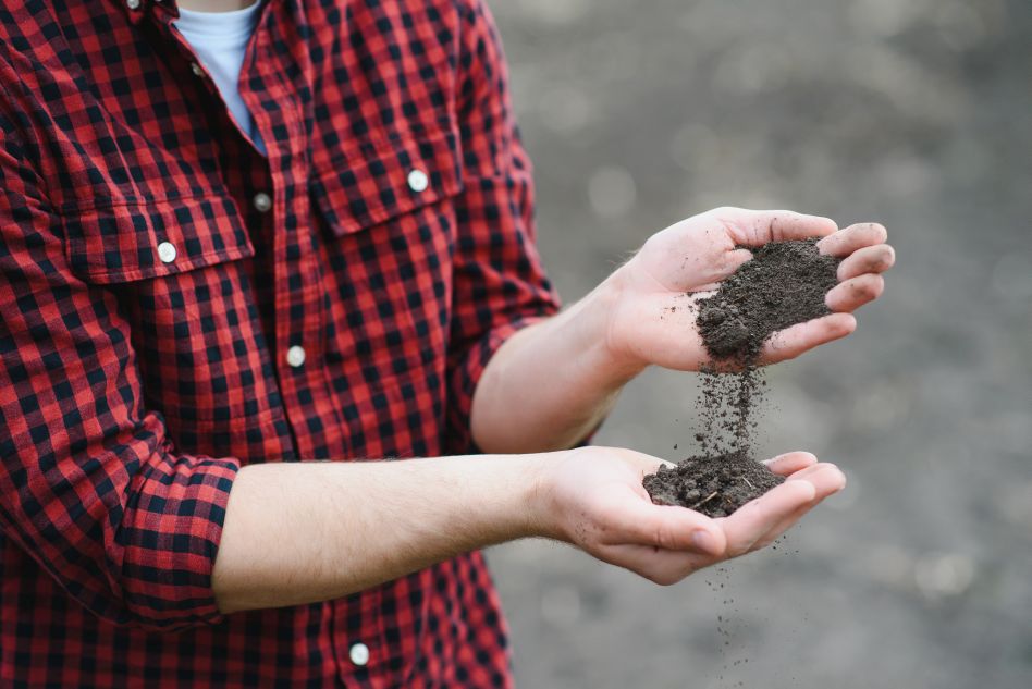 Redonner vie à la terre grâce à l’agriculture régénérative