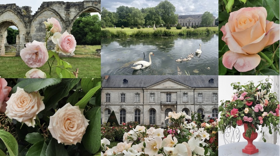 France : 24ème édition des Journées de la Rose à Chaalis