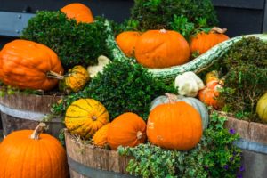 Les bienfaits potentiels pour la santé de la consommation de citrouilles