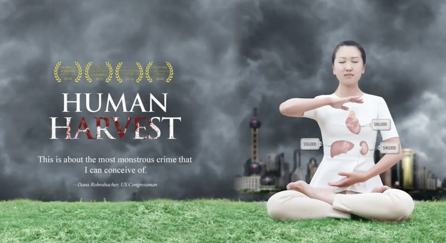 Témoignage : une série de films puissants commémore vingt-six ans de persécution du Falun Gong