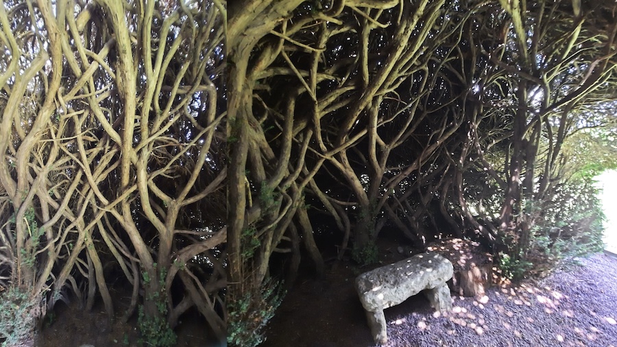 À Gerberoy, le Jardin Des Ifs monumentaux, un lieu intemporel... 