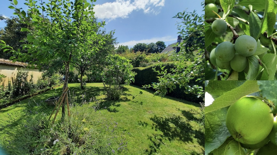 À Gerberoy, le Jardin Des Ifs monumentaux, un lieu intemporel... 