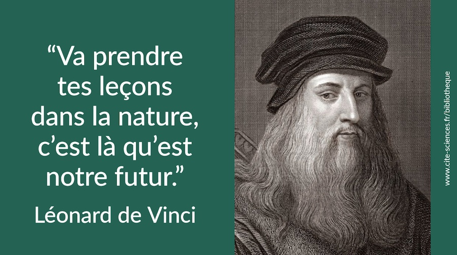 À Gerberoy, le Jardin Des Ifs monumentaux, un lieu intemporel... 