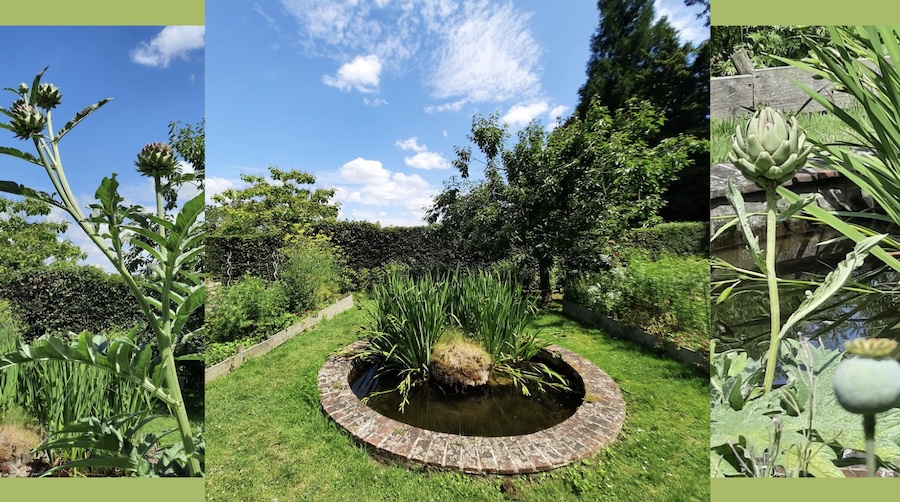 À Gerberoy, le Jardin Des Ifs monumentaux, un lieu intemporel