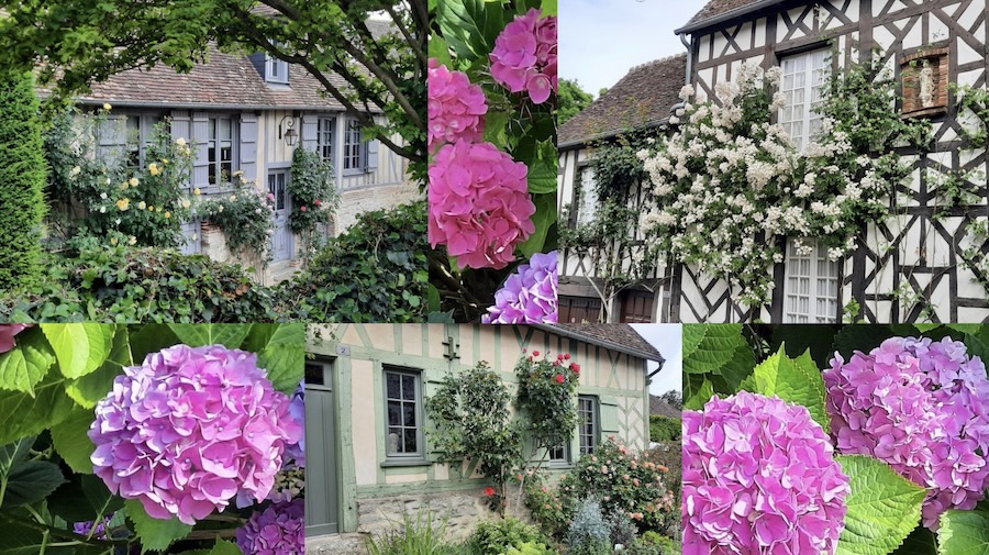 À Gerberoy, le Jardin Des Ifs monumentaux, un lieu intemporel