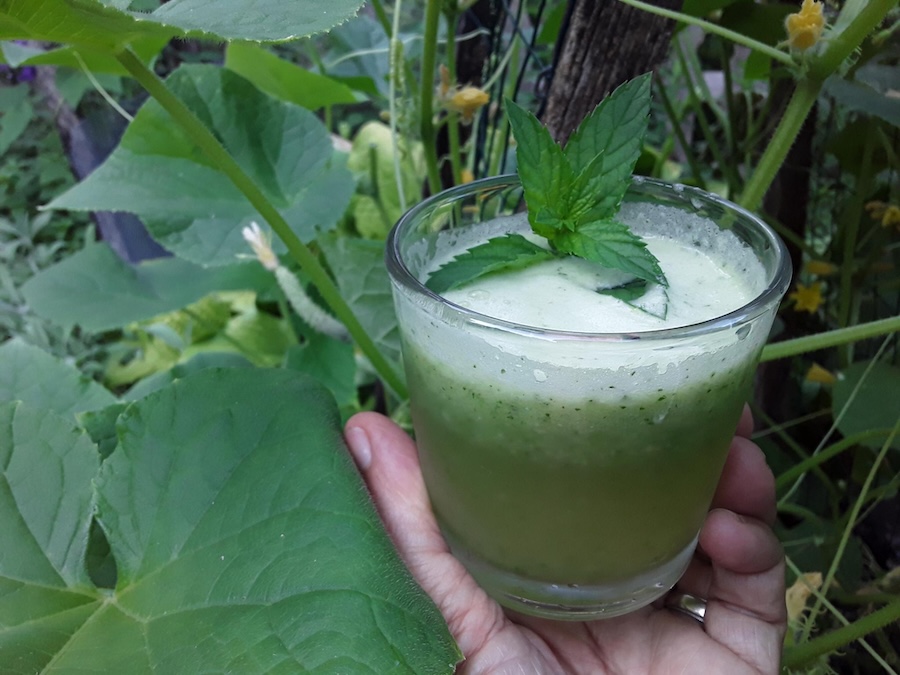 Le tour du monde du concombre : six façons originales de savourer ce plat incontournable de l’été
