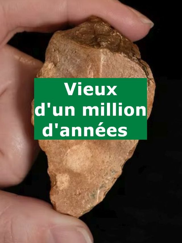 Vieux d’un million d’années