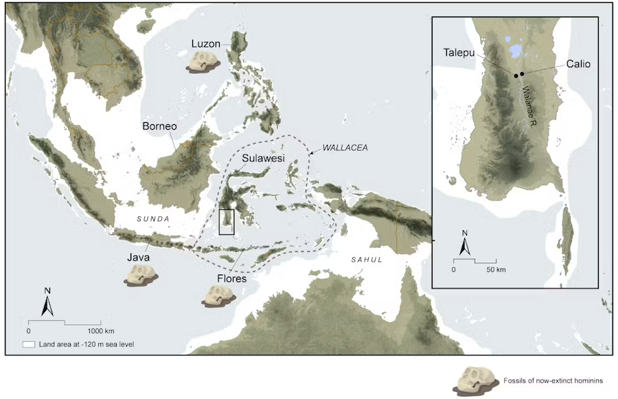 Cet outil de pierre a plus d’un million d’années, comment son créateur a-t-il pu arriver à Sulawesi sans bateau 