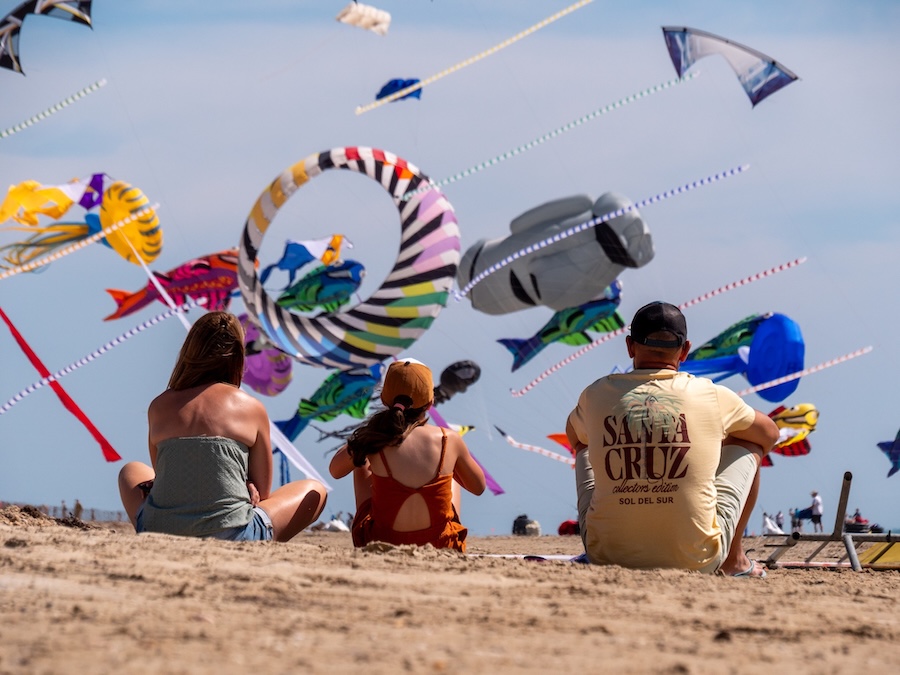 Fête du Vent : le ciel de Marseille s’illumine au Festival international du Cerf-Volant
