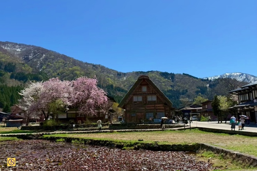 À la découverte des trésors de l’UNESCO au Japon : Shirakawa-gō et Gokayama
