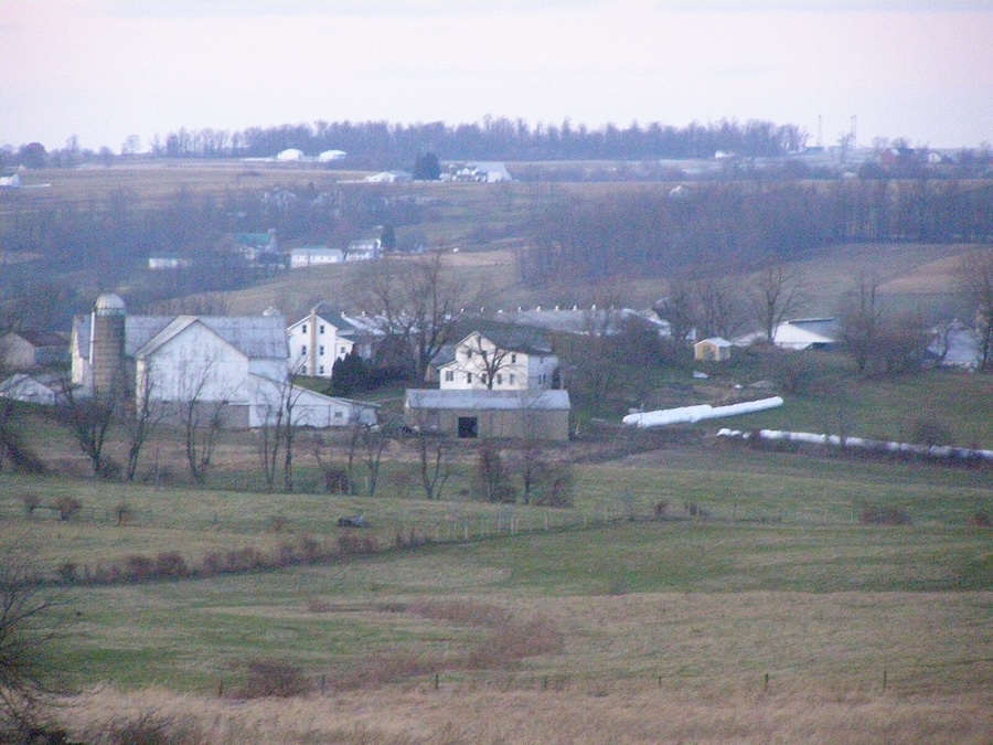 Les Amish vivent simplement, mais ne les confondez pas avec les écologistes
