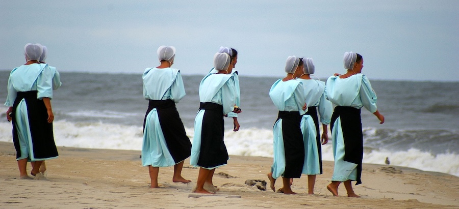 Les Amish vivent simplement, mais ne les confondez pas avec les écologistes
