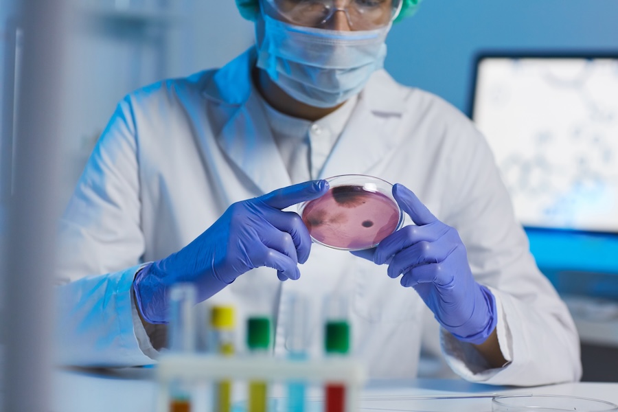 Les législateurs et un projet de loi qui pourrait prêter à sourire