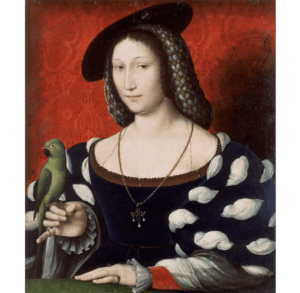 Marguerite de Navarre, sœur de François 1er, de la princesse à la reine de Navarre, un parcours édifiant
