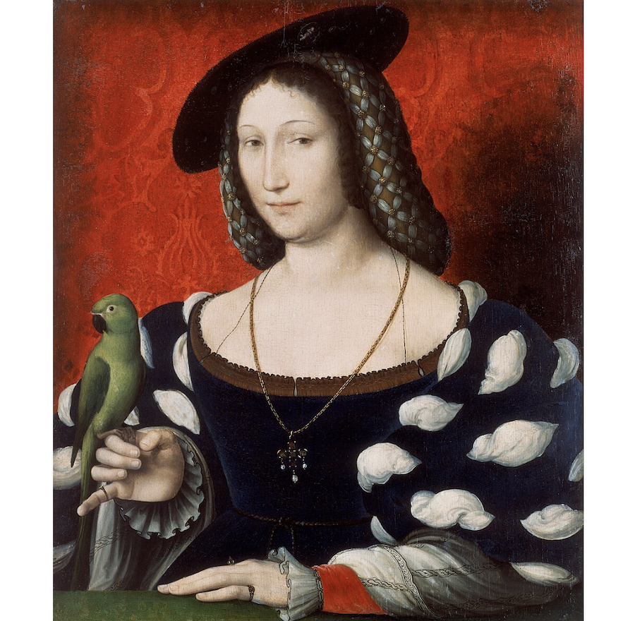 Marguerite de Navarre, sœur de François 1er, de la princesse à la reine de Navarre, un parcours édifiant